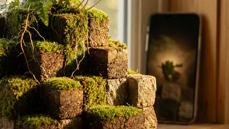 Unleashing Creativity in Block Craft 3D: A Sandbox Adventure header