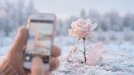 La Rose de Glace (F2P) : Mystères et Énigmes dans un Monde Glacial header